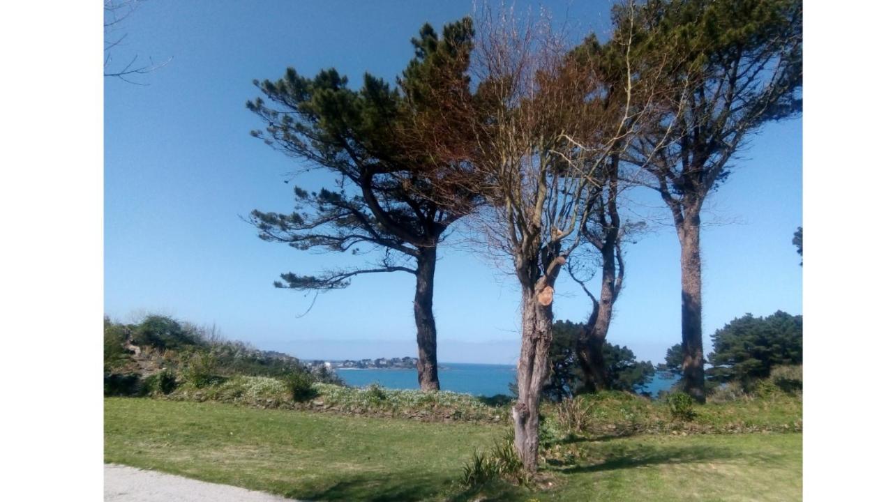 Plestin-les-Grèves Les Hortensias Grande Tente Familiale Deux Chambres Et Sejour Vue Mer Sur Camping Nature מראה חיצוני תמונה